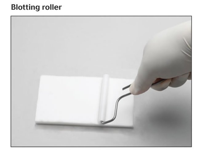 Blotting Roller